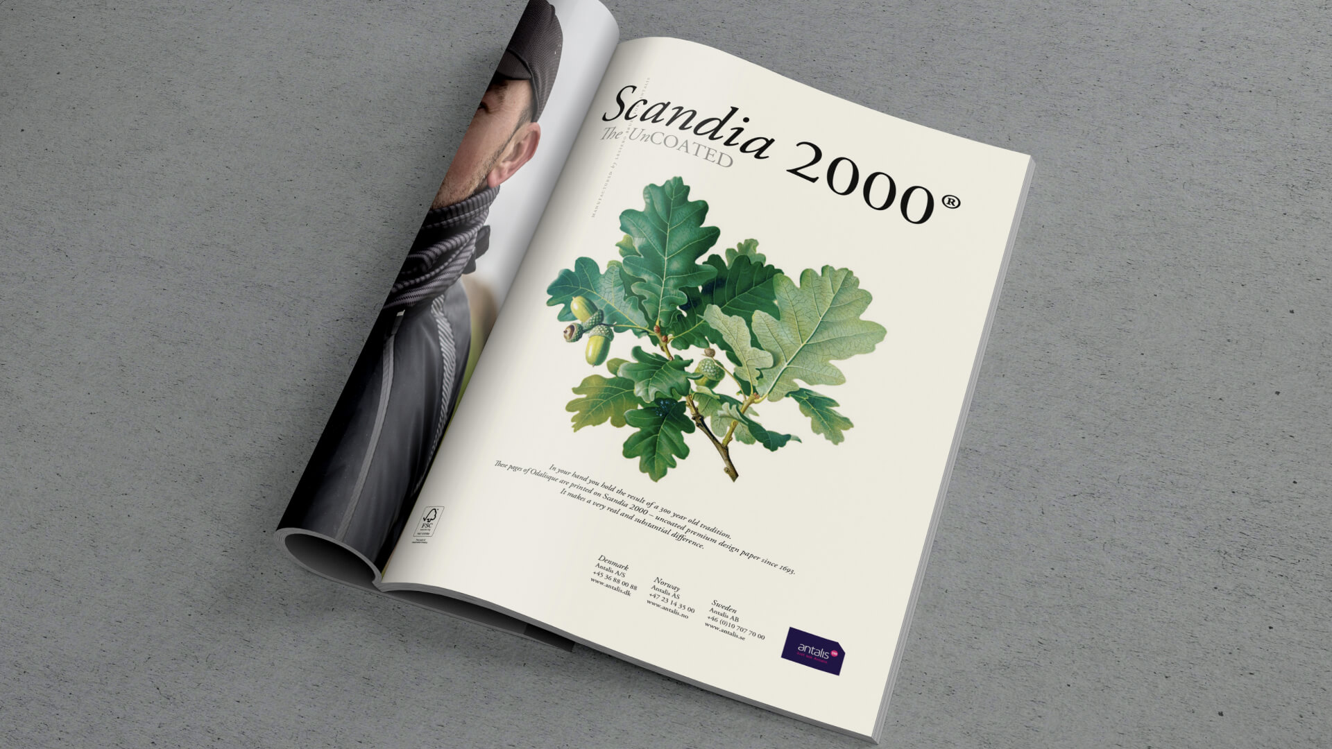 Scandia 2000 - Annons