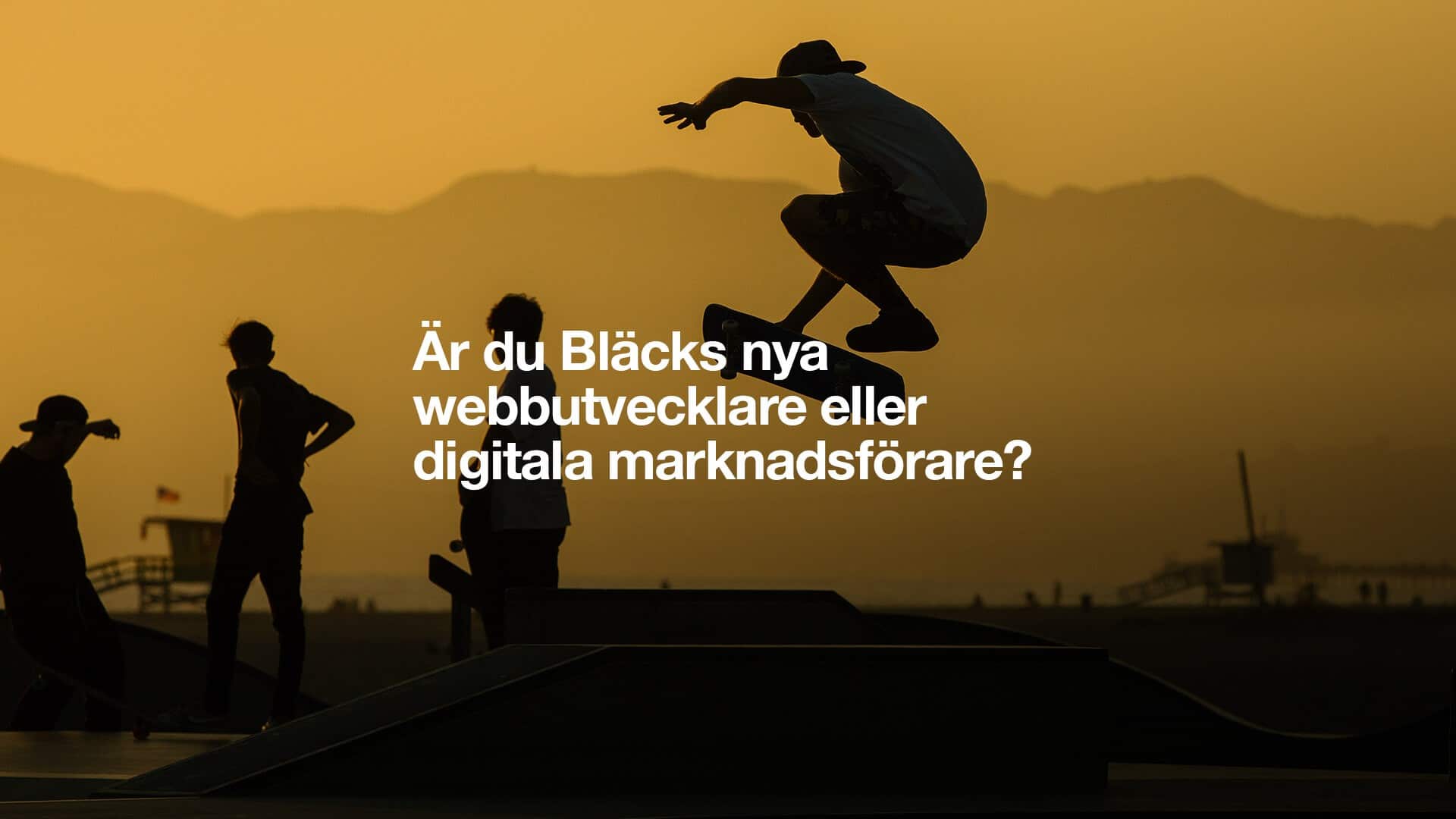 Webbutvecklare och Digital marknadsförare